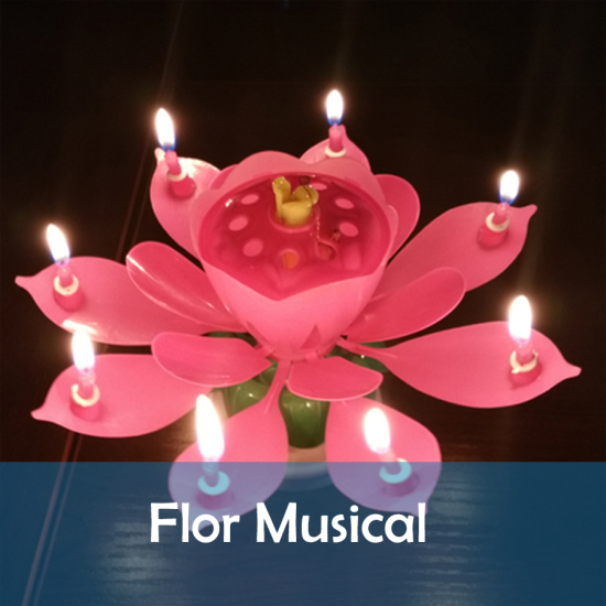 vela de flor musical